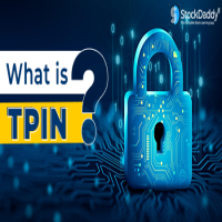 What Is TPIN How CDSL Generate Tpin