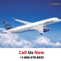 Book Cheap JetBlue Airways Flights 18665798033